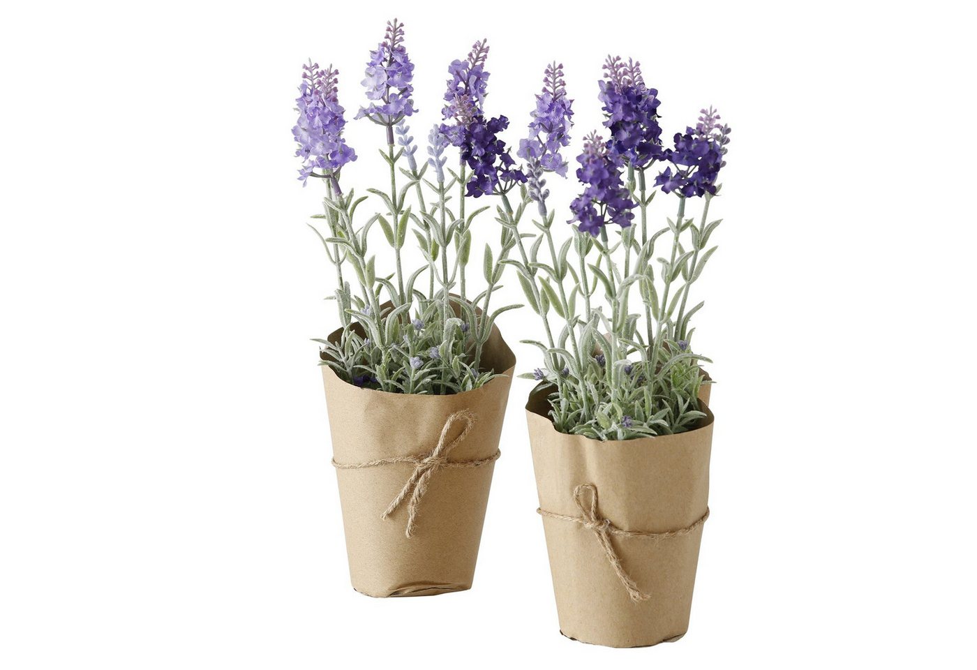 Kunstpflanze Topfpflanze, 1 Stück, Lavendel, 32 cm hoch, BOLTZE Kunstpflanze Topfpflanze, 1 Stück, Lavendel, 32 cm hoch, BOLTZE von BOLTZE