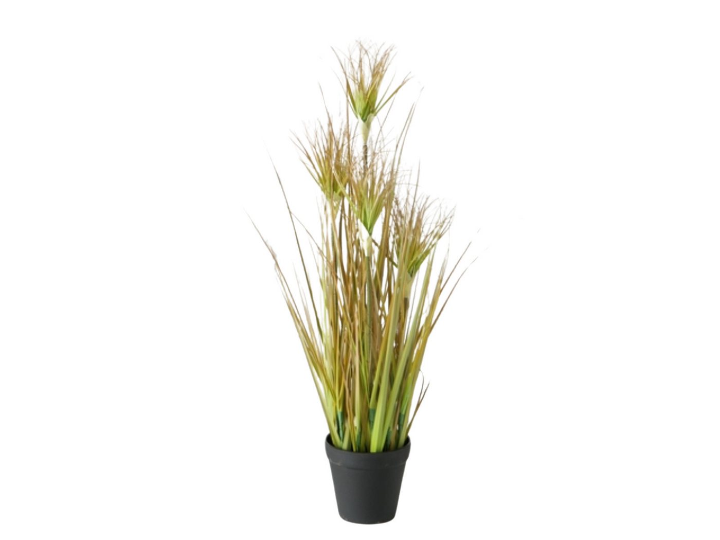 Kunstpflanze Topfplanze Zwiebelgras 60 cm, BOLTZE, Höhe 0 cm Kunstpflanze Topfplanze Zwiebelgras 60 cm, BOLTZE, Höhe 0 cm von BOLTZE