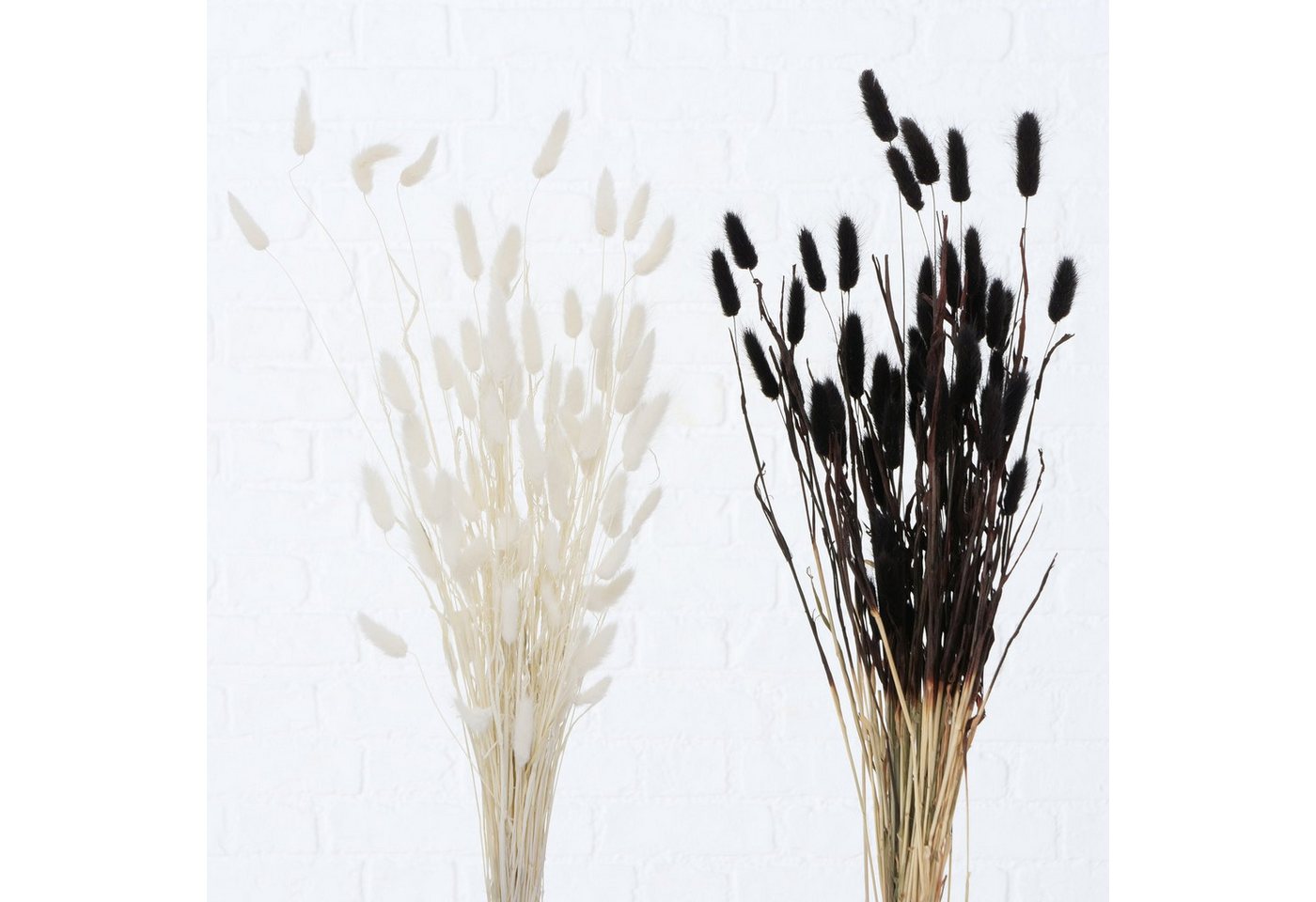 Kunstzweig Boltze Dekozweig Samtgras, 1 Stück, Schwarz oder Weiß, 2019689, BOLTZE Kunstzweig Boltze Dekozweig Samtgras, 1 Stück, Schwarz oder Weiß, 2019689, BOLTZE von BOLTZE