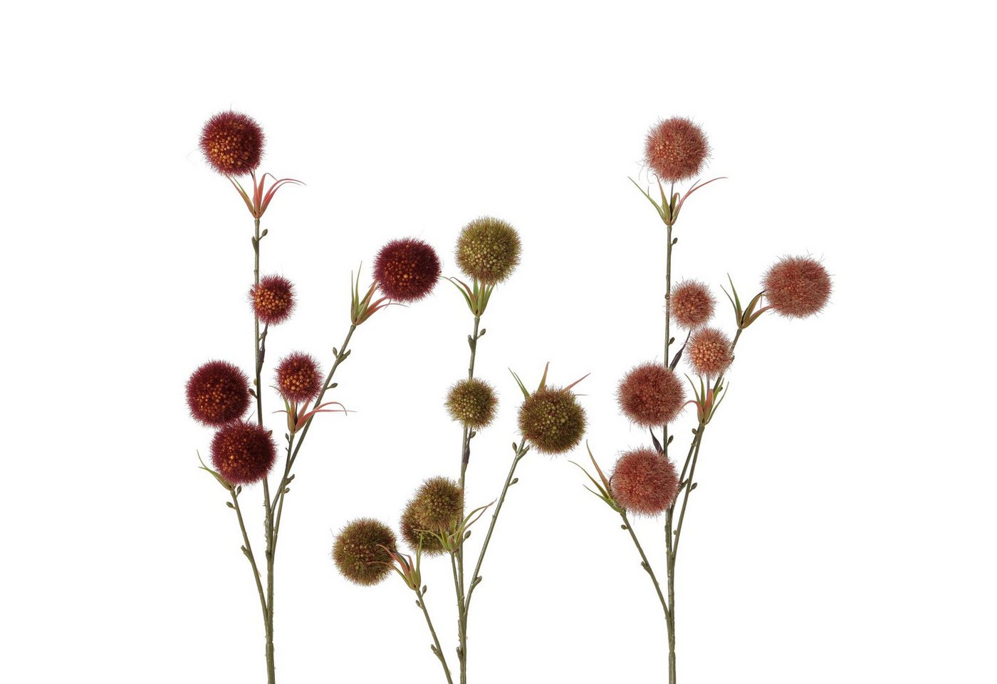 Kunstzweig Dekozweig Allium, 64 cm hoch, Braun oder Dunkelrot oder Hellrot, BOLTZE Kunstzweig Dekozweig Allium, 64 cm hoch, Braun oder Dunkelrot oder Hellrot, BOLTZE von BOLTZE
