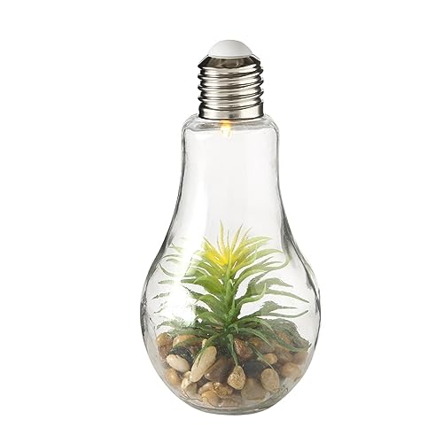 LED Tischleuchte mit Pflanze H23cm Ø11cm Glas 2-er Set von BOLTZE