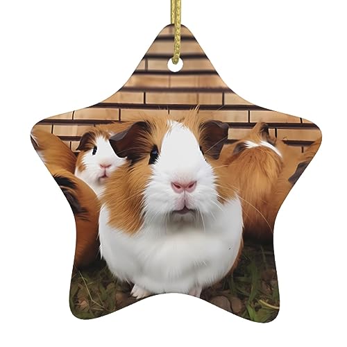 Meerschweinchen Weihnachtsschmuck 2023 Sternform Ornamente für Weihnachtsbaum Hängende Keramik Geschenk Ornament Weihnachtsbaum Ornament Dekorationen von BONDIJ