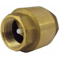 Rückschlagventil m. Feder 3/4" Zoll von BONI-SHOP®