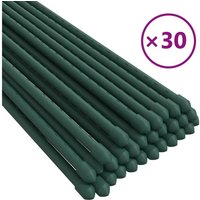 Bonnevie - Pflanzenstützen 30 Stk. Grün 150 cm Stahl vidaXL108757 von BONNEVIE