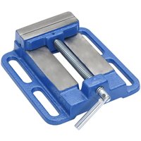 Bonnevie - Maschinenschraubstock Blau 100 mm Gusseisen vidaXL200331 von BONNEVIE