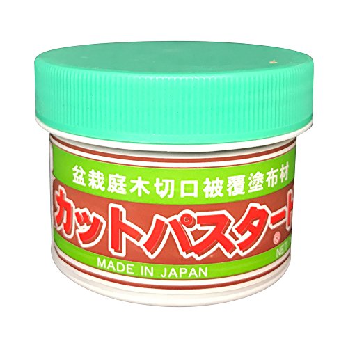 Japanse mastiek, helende pasta specifiek voor naaldbonsai, 160 gr Japanse mastiek, helende pasta specifiek voor naaldbonsai, 160 gr von BONSAIOUTLET