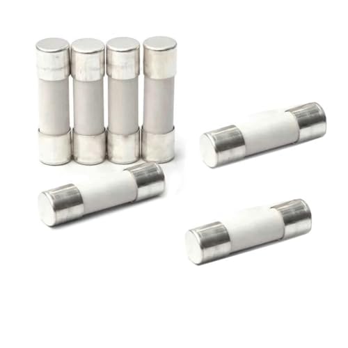 10 Stück flinke Keramiksicherung 5 mm x 20 mm 6 x 30 T 0,5 A 1 A 2 A 3 A 4 A 5 A 6 A 8 A 10 A 13 A 15 A 16 A 20 A 30 A 250 V Auto-Mikrowellenherd(0.25A) von BOOGHIGC