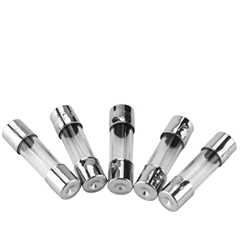 200 Stück, 250 V, flinkes Glassicherungsrohr, 5 x 20 mm, 6 x 30 mm, elektronische Komponente, 0,1/0,2/0,3/0,5/1/2/3/4/5/6/8/10/15/20/25/30 A(50pcs 6x30,3 Years) von BOOGHIGC