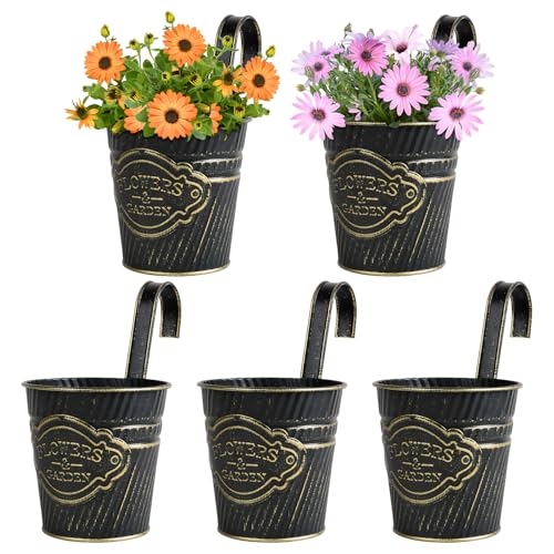 BOOMTOP 5 Stück Metall Blumentopf Hängend Schwarz Blumentöfpe Klein mit Abnehmbar Haken Hängetöpfe für Pflanzen Blumen Hängetopf zum Aufhängen für Balkon Garten Wand Terrasse Innen Außen 10x10x7,5cm von BOOMTOP