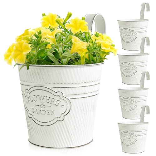 BOOMTOP 5 Stück Metall Blumentopf Hängend Weiß Blumentöfpe mit Abnehmbar Haken Hängetöpfe für Pflanzen Blumen Hängetopf zum Aufhängen für Balkon Garten Wand Terrasse Innen Außen 14x15x11,5cm von BOOMTOP