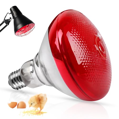 BORDEAG Infrarotlampe Wärmelampe 150 W Rotlichtlampe Wärmelampe Infrarotlicht Wärmelampen Rotlicht Lampe E27 Infrarot Heizlampe Terrarium Lampe Für Hühner, Hunde, Schweine, Reptilien BORDEAG Infrarotlampe Wärmelampe 150 W Rotlichtlampe Wärmelampe Infrarotlicht Wärmelampen Rotlicht Lampe E27 Infrarot Heizlampe Terrarium Lampe Für Hühner, Hunde, Schweine, Reptilien von BORDEAG