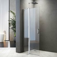 Boromal - Duschwand Glas Walk in 70/75cm Glaswand Dusche Duschkabine Pendeltür Duschabtrennung 185cm Höhe Nano von BOROMAL