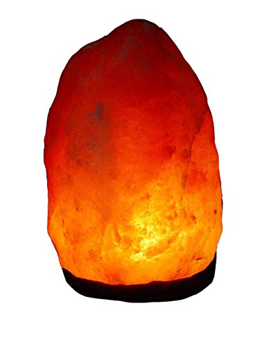 BOSALLA Salz Lampe von 2 kg bis 26 kg frei wählbar Kristall Lampen Salt Range Pakistan mit Spezial Leuchtmittel und Kabel in 120 cm SCHWARZ (18-20 kg) von BOSALLA
