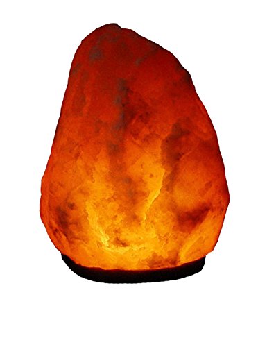 BOSALLA Salz Lampe von 2 kg bis 26 kg frei wählbar Kristall Lampen Salt Range Pakistan mit Spezial Leuchtmittel und Kabel in 175 cm SCHWARZ (18-20 kg) von BOSALLA