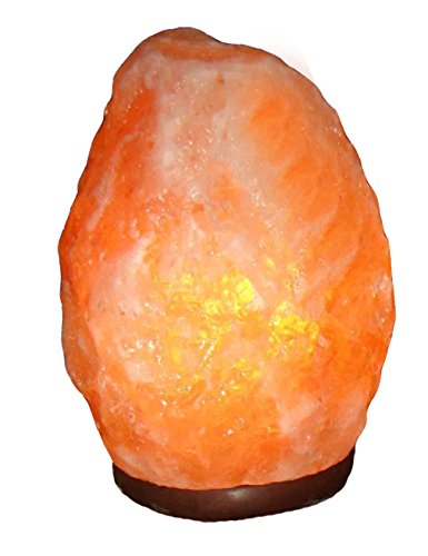 BOSALLA Salz Lampe von 2 kg bis 26 kg frei wählbar Kristall Lampen Salt Range Pakistan mit Spezial Leuchtmittel und Kabel in 250 cm SCHWARZ (18-20 kg) von BOSALLA