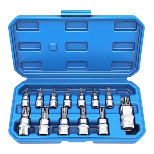 13-teiliges Steckschlüssel-Set: Schraubendreher-Stecknüsse 13-teilig 1/2 3/8 1/4 Zoll Steckschlüsselsatz 2-14 mm mit Aufbewahrungsbox 13-teiliges Steckschlüssel-Set: Schraubendreher-Stecknüsse 13-teilig 1/2 3/8 1/4 Zoll Steckschlüsselsatz 2-14 mm mit Aufbewahrungsbox von BOTEWO