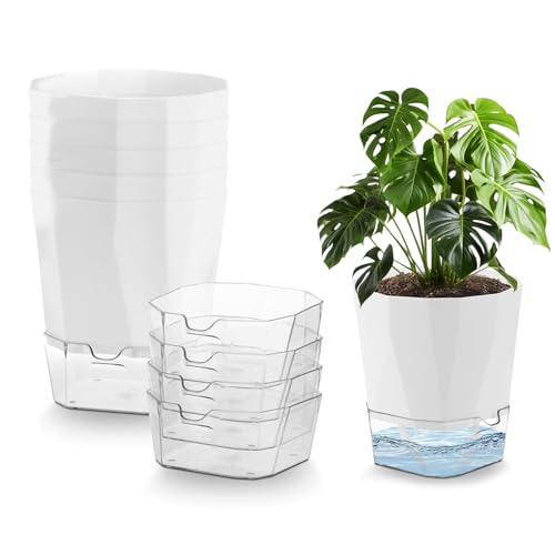 6 Stücke Kräutertopf, Selbstbewässerungstopf, 12.5cm Blumentopf mit Bewässerungssystem, Kunststoff Kräutertopf Selbstbewässernd für Frische Küchenkräuter Fensterbank Schlafzimmer, Weiß von BOUFEIDA