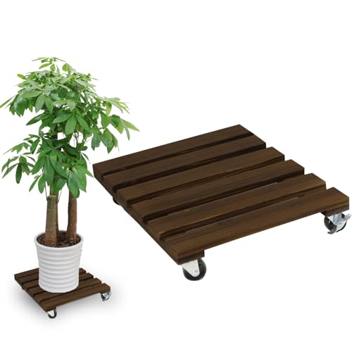 Pflanzenroller Quadratisch,1 Stuck Blumenroller 35x35cm Rollbrett Rund, Pflanzen Rollbrett 100Kg Tragkraft, Pflanzenroller Outdoor, Blumentopf Untersetzer Mit Rollen, Blumenuntersetzer mit Rollen von BOUFEIDA