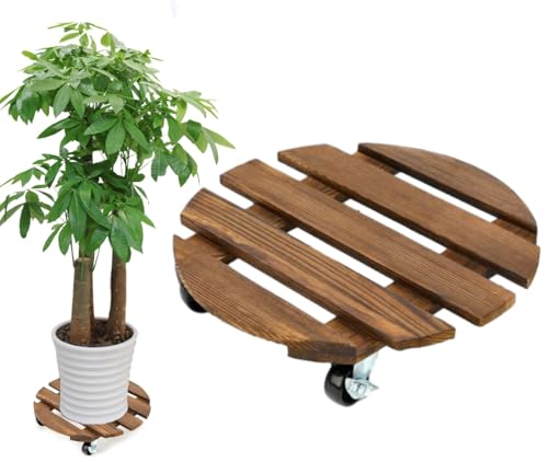 Pflanzenroller Rund, 1 Stuck Blumenroller 40x40cm Rollbrett Rund, Pflanzen Rollbrett 100Kg Tragkraft, Pflanzenroller Outdoor, Blumentopf Untersetzer Mit Rollen, Blumenuntersetzer Rund mit Rollen von BOUFEIDA