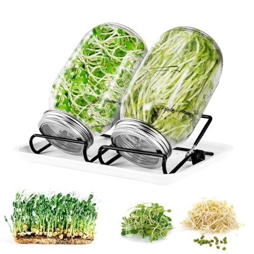 Sprossen Keimglas 2er Set x 1000ml,keimgläser für Sprossenglas Sprouting jar mit Deckeln und Wasserschale,Filtergitterabdeckungen aus Edelstahl 304 und 2 Ständer,für Alfalfa Brokkoli Mungobohnen Sprossen Keimglas 2er Set x 1000ml,keimgläser für Sprossenglas Sprouting jar mit Deckeln und Wasserschale,Filtergitterabdeckungen aus Edelstahl 304 und 2 Ständer,für Alfalfa Brokkoli Mungobohnen von BOULEAWEL