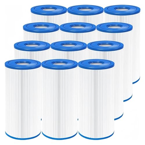 Ersatzfilterkartusche, Kompatibel Mit INTEX Typ A Oder C (29000E/59900E), Filterkartuschen Typ III(12pcs) von BOULINFJZ