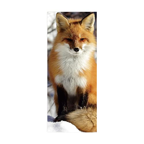 3D Türaufkleber Fuchs Türtapete selbstklebend TürPoster - Fototapete Türfolie Poster Tapete Aufkleber DIY Wandbild B85 x H205cm von BOVZOX