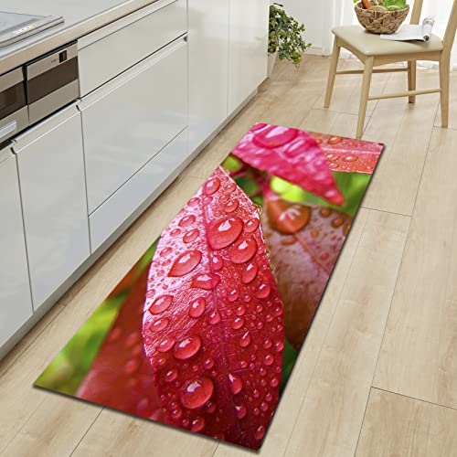 BOVZOX Küchenläufer Waschbar rutschfest Küchenmatte Blätter Küchenmatte für Küche und Bar Teppich Läufer waschbare Küchenläufer Küche Deko 60 x 180cm BOVZOX Küchenläufer Waschbar rutschfest Küchenmatte Blätter Küchenmatte für Küche und Bar Teppich Läufer waschbare Küchenläufer Küche Deko 60 x 180cm von BOVZOX