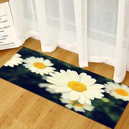 BOVZOX Küchenläufer Waschbar rutschfest Küchenmatte Gänseblümchen Küchenmatte für Küche und Bar Teppich Läufer waschbare Küchenläufer Küche Deko 50 x 80cm BOVZOX Küchenläufer Waschbar rutschfest Küchenmatte Gänseblümchen Küchenmatte für Küche und Bar Teppich Läufer waschbare Küchenläufer Küche Deko 50 x 80cm von BOVZOX