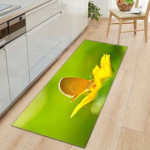 BOVZOX Küchenläufer Waschbar rutschfest Küchenmatte Schmetterling Küchenmatte für Küche und Bar Teppich Läufer waschbare Küchenläufer Küche Deko 60 x 120cm BOVZOX Küchenläufer Waschbar rutschfest Küchenmatte Schmetterling Küchenmatte für Küche und Bar Teppich Läufer waschbare Küchenläufer Küche Deko 60 x 120cm von BOVZOX