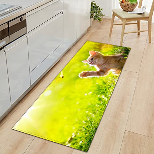 BOVZOX Küchenteppiche Schmetterling Waschbar Küchenmatte Küchenteppich Badematten rutschfeste Teppich 40 x 100cm BOVZOX Küchenteppiche Schmetterling Waschbar Küchenmatte Küchenteppich Badematten rutschfeste Teppich 40 x 100cm von BOVZOX