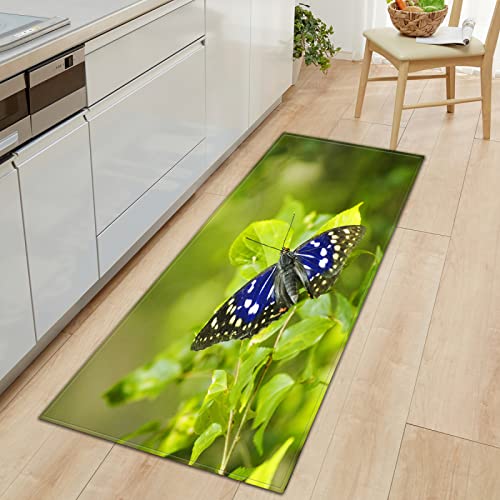 BOVZOX Küchenteppiche Schmetterling Waschbar Küchenmatte Küchenteppich Badematten rutschfeste Teppich 60 x 120cm BOVZOX Küchenteppiche Schmetterling Waschbar Küchenmatte Küchenteppich Badematten rutschfeste Teppich 60 x 120cm von BOVZOX