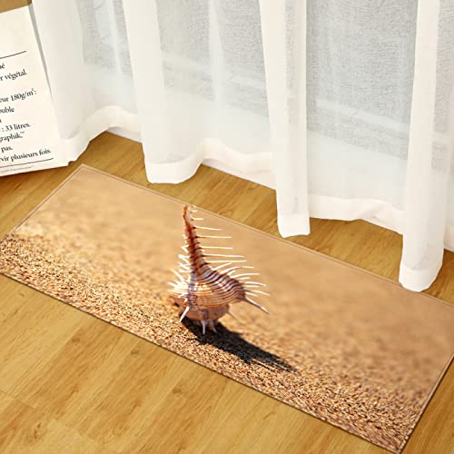 BOVZOX Küchenteppiche Strandmuscheln Waschbar Küchenmatte Küchenteppich Badematten rutschfeste Teppich 60 x 120cm von BOVZOX