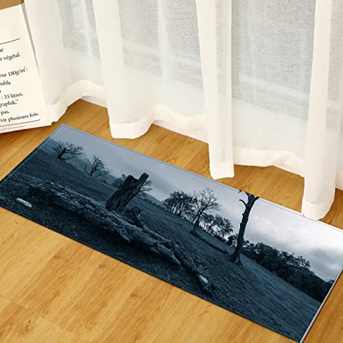 BOVZOX Küchenteppiche Wald Waschbar Küchenmatte Küchenteppich Badematten rutschfeste Teppich 40 x 100cm BOVZOX Küchenteppiche Wald Waschbar Küchenmatte Küchenteppich Badematten rutschfeste Teppich 40 x 100cm von BOVZOX