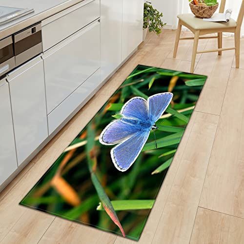 BOVZOX Läufer rutschfestes Küchenmatten Schmetterling rutschfeste Küchenmatten und Teppiche Waschbare Gummiunterlage Fußmatte Mikrofaser 50 x 80cm von BOVZOX