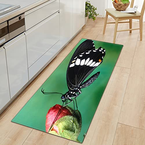 BOVZOX Läufer rutschfestes Küchenmatten Schmetterling rutschfeste Küchenmatten und Teppiche Waschbare Gummiunterlage Fußmatte Mikrofaser 60 x 120cm BOVZOX Läufer rutschfestes Küchenmatten Schmetterling rutschfeste Küchenmatten und Teppiche Waschbare Gummiunterlage Fußmatte Mikrofaser 60 x 120cm von BOVZOX
