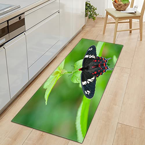 BOVZOX Teppich Läufer Schmetterling KüChenteppich Waschbar rutschfest Teppich Küche, Teppichläufer Küchenläufer für Flur, Küche, Schlafzimmer 60 x 120cm von BOVZOX