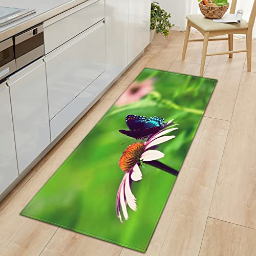 BOVZOX rutschfeste Küchenmatten Schmetterling Teppiche Waschbare Gummiunterlage Fußmatte Mikrofaser Teppichset 50 x 80cm BOVZOX rutschfeste Küchenmatten Schmetterling Teppiche Waschbare Gummiunterlage Fußmatte Mikrofaser Teppichset 50 x 80cm von BOVZOX
