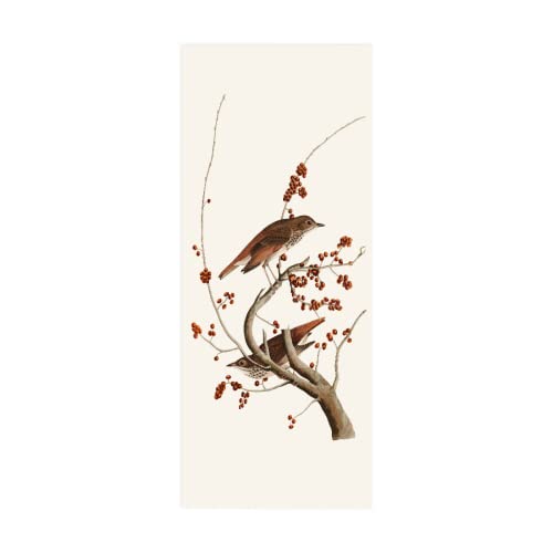 Türaufkleber selbstklebendes Vogel Türbild Fototapete Türfolie Poster Tapete Pvc Wasserdicht Abnehmbare Wandbilder Für Schlafzimmer Haus Bad Büro B83 x H204cm Türaufkleber selbstklebendes Vogel Türbild Fototapete Türfolie Poster Tapete Pvc Wasserdicht Abnehmbare Wandbilder Für Schlafzimmer Haus Bad Büro B83 x H204cm von BOVZOX