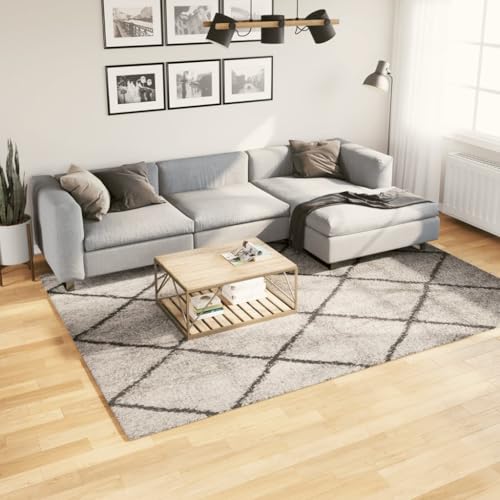 BOWEKAM Decor-Rugs Shaggy Teppich PAMPLONA Hochflor Modern Beige und Anthrazit 200x280 cm von BOWEKAM