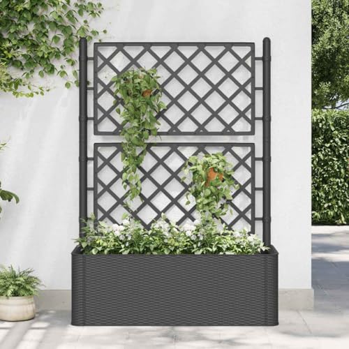 BOWEKAM Home & Garden-Garden Hochbeet mit Rankgitter und Selbstbewässerungssystem Anthrazit - Möbel Wahl von BOWEKAM