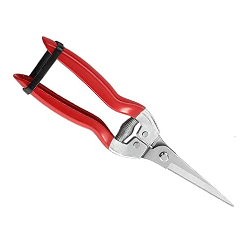 Gartenarbeit Handschere Gartenschere Gartenschere Blattwerkzeuge Gerade Beschneiden Pflanzenschere M8X7 Trim Snips Florist Mikrospitze von BOWTONG