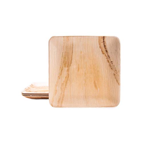 BOX And Tree – 200 Einweg Teller aus Palmblatt 24x24 cm – Einwegteller, kompostierbar, biologisch abbaubar, plastikfrei – Öko Geschirr für Hochzeit, Party, Event, BBQ BOX And Tree – 200 Einweg Teller aus Palmblatt 24x24 cm – Einwegteller, kompostierbar, biologisch abbaubar, plastikfrei – Öko Geschirr für Hochzeit, Party, Event, BBQ von BOX And Tree