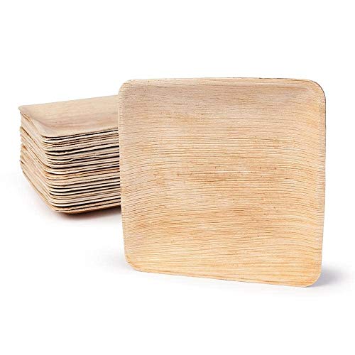 BOX And Tree – 25 Einweg Teller aus Palmblatt 20x20 cm – Einwegteller, kompostierbar, biologisch abbaubar, plastikfrei – Öko Geschirr für Hochzeit, Party, Event, BBQ von BOX And Tree