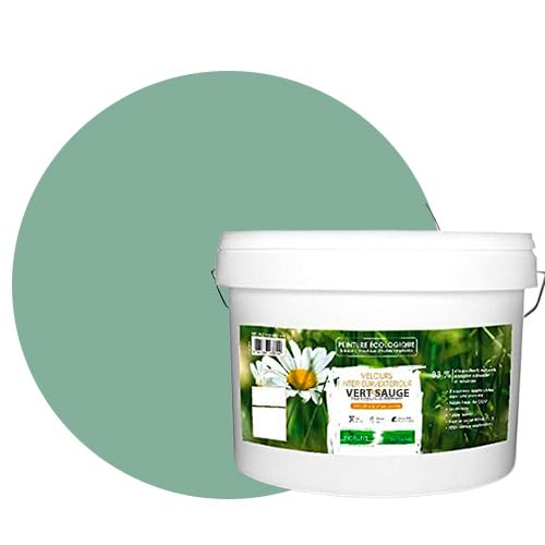 Natura Eco-Friendly Interior Exterior Velvet Look Natural Paint - 10L / 130m² [Energieklasse A+], Salbeigrün von BOX DECO COULEURS