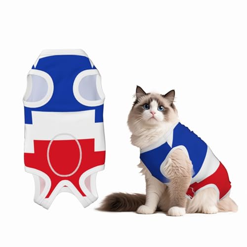 Flagge des Kantons Schleswig-Holstein Haustier-Genesungsanzug für Hunde, weiche Baumwolle, chirurgischer Genesungsanzug, um Lecken zu verhindern, Lecken zu verhindern, Welpeneinteiler, Schwarz Flagge des Kantons Schleswig-Holstein Haustier-Genesungsanzug für Hunde, weiche Baumwolle, chirurgischer Genesungsanzug, um Lecken zu verhindern, Lecken zu verhindern, Welpeneinteiler, Schwarz von BOXILTD