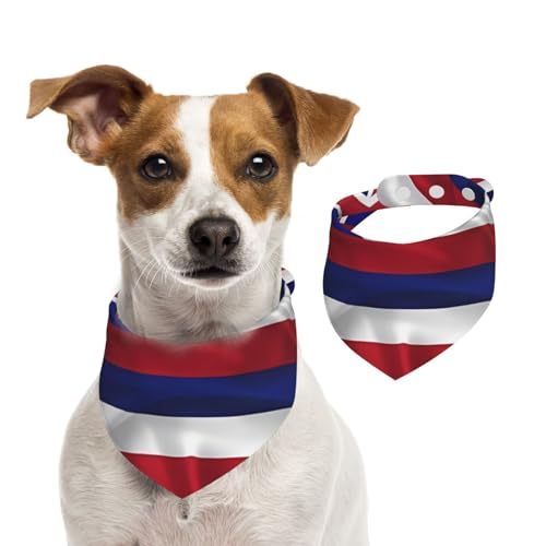 Hundehalstuch, Motiv: Flagge von Hawaii, Baumwolle, waschbar, Dreieckstuch für kleine, mittelgroße und große Hunde, Katzen, Schwarz Hundehalstuch, Motiv: Flagge von Hawaii, Baumwolle, waschbar, Dreieckstuch für kleine, mittelgroße und große Hunde, Katzen, Schwarz von BOXILTD