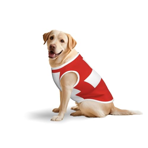 Hundekleidung mit Schweizer Flagge für mittelgroße und große Hunde, weiche Baumwolle, Haustierkleidung für den täglichen Gebrauch, Spazierengehen, Größe L, Blau, Gelb Hundekleidung mit Schweizer Flagge für mittelgroße und große Hunde, weiche Baumwolle, Haustierkleidung für den täglichen Gebrauch, Spazierengehen, Größe L, Blau, Gelb von BOXILTD