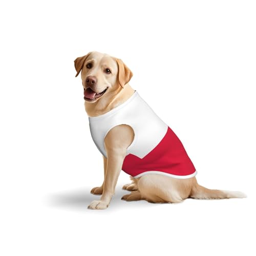 Hundekleidung mit polnischer Flagge für mittelgroße und große Hunde, weiche Baumwolle, Haustierkleidung für den täglichen Gebrauch, Spazierengehen, Größe L, Blau, Gelb Hundekleidung mit polnischer Flagge für mittelgroße und große Hunde, weiche Baumwolle, Haustierkleidung für den täglichen Gebrauch, Spazierengehen, Größe L, Blau, Gelb von BOXILTD