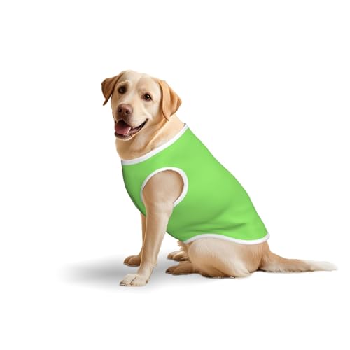 Solide grüne Hundekleidung für mittelgroße und große Hunde – weiche Baumwollkleidung für den täglichen Gebrauch, Spazierengehen, Größe L, Blau, Gelb von BOXILTD