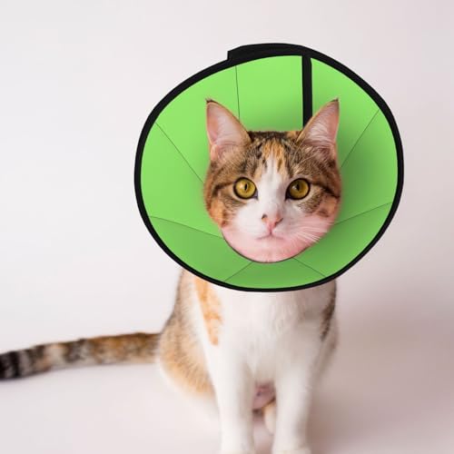 Solides grünes, weiches Hundehalsband, Depets verstellbare Genesung, Haustier-Kegel, E-Halsband für Katzen, Kätzchen, Kaninchen, bequem, elisabethanisches Halsband von BOXILTD
